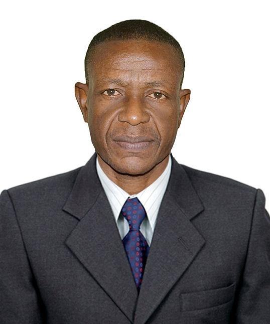 Portrait of Hon. Ifeanyi Nworah