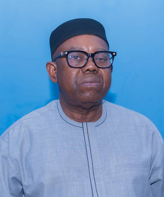 Portrait of Hon. Benjamin Okeke (OKB)